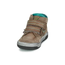 Acebo's - ACERA
