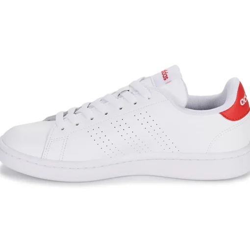 Adidas Sportswear - ADVANTAGE