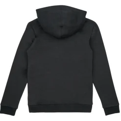 Adidas Sportswear - BL 2 HOODIE