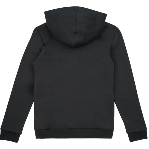 Adidas Sportswear - BL 2 HOODIE