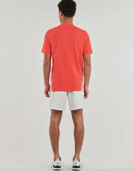 Adidas Sportswear - M FI 3S REG T