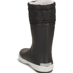 Aigle - GIBOULEE