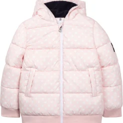 Aigle - SOLILA