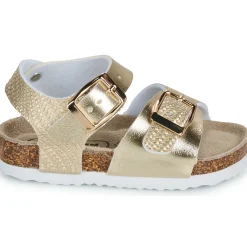 BEPPI - 2203940-DOURADO