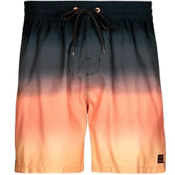 Billabong - ALL DAY FADE LB