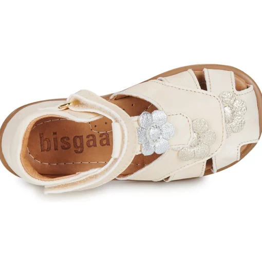 Bisgaard - OLINE