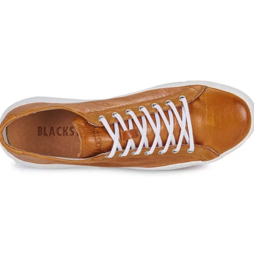 Blackstone - ZG18