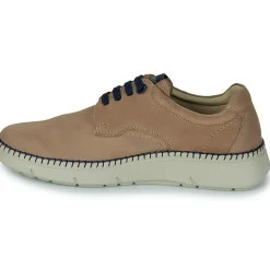 CallagHan - 53505.2