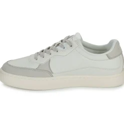 Calvin Klein Jeans - CLASSIC CUPSOLE LOW LTH