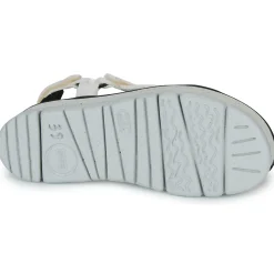 Camper - ORUGA UP
