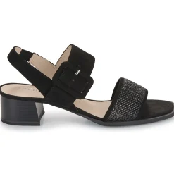 Caprice - 28203