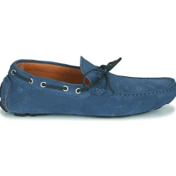 Carlington - JEAN