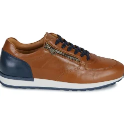 Casual Attitude - BILANO
