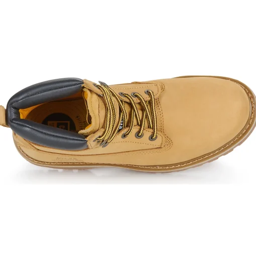 Caterpillar - HOLTON SB E FO HRO SR