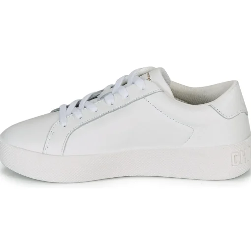 Champion - ERA LEATHER