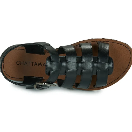 Chattawak - TERRA