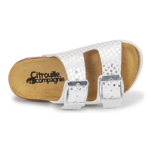 Citrouille et Compagnie - MISTINGUETTE
