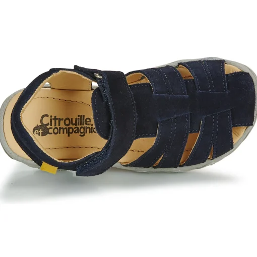 Citrouille et Compagnie - FILOLE