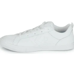 Converse - PRO BLAZE STRAP LEATHER