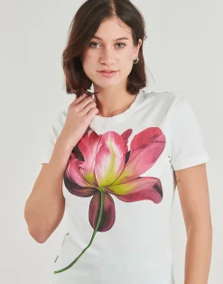 Desigual - PLATA