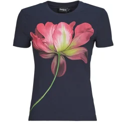 Desigual - PLATA