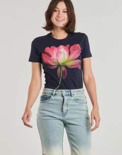 Desigual - PLATA