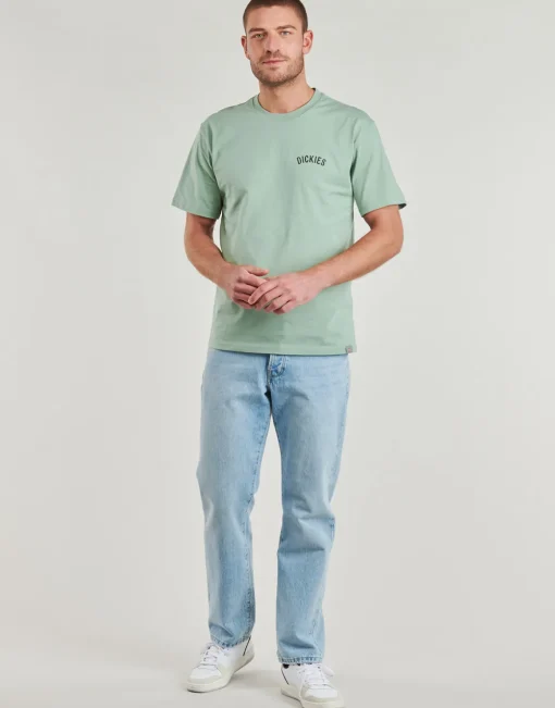 Dickies - DICKIES SNAKE SS TEE