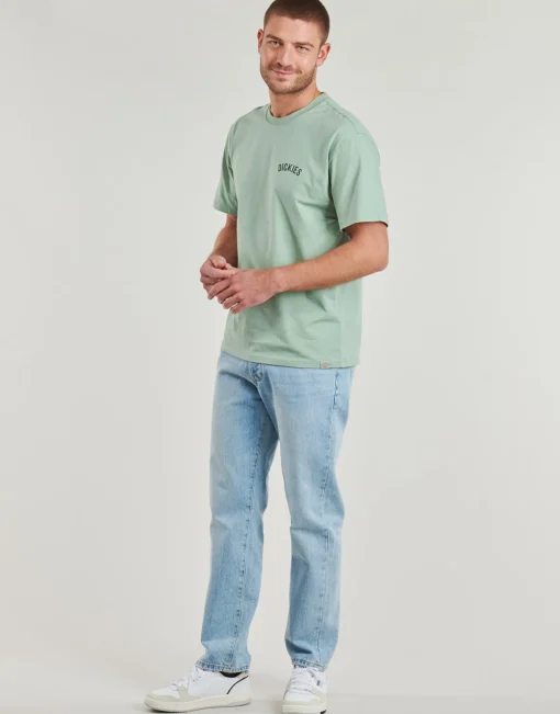 Dickies - DICKIES SNAKE SS TEE
