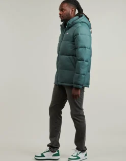 Dickies - WALDENBURG HOODED JACKET