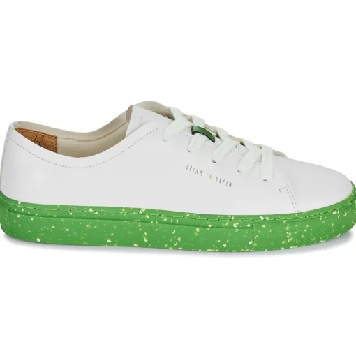 Dream in Green - JOBI