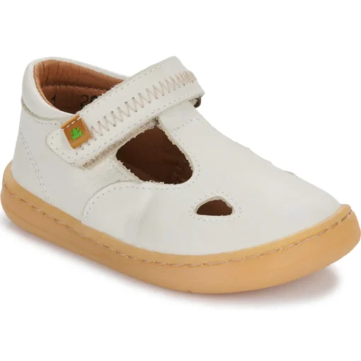 El Naturalista - 5341