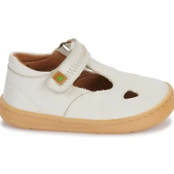 El Naturalista - 5341