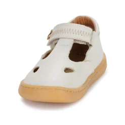 El Naturalista - 5341