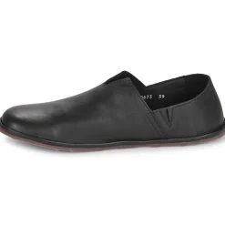 El Naturalista - BARE N5673