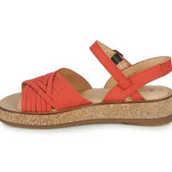 El Naturalista - N5590-CORAL