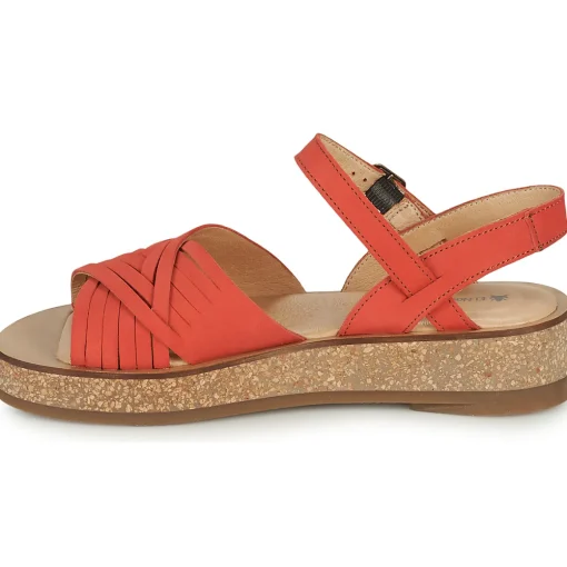 El Naturalista - N5590-CORAL