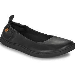 El Naturalista - ORIGEN N5912