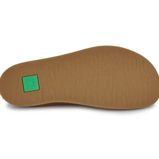 El Naturalista - ORIGEN N5912