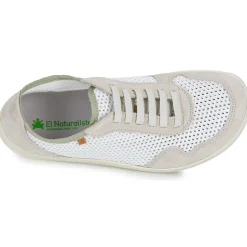 El Naturalista - ORIGEN N5914