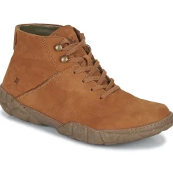 El Naturalista - TURTLE N5083
