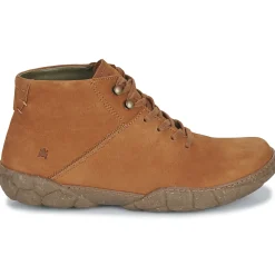 El Naturalista - TURTLE N5083