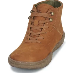 El Naturalista - TURTLE N5083
