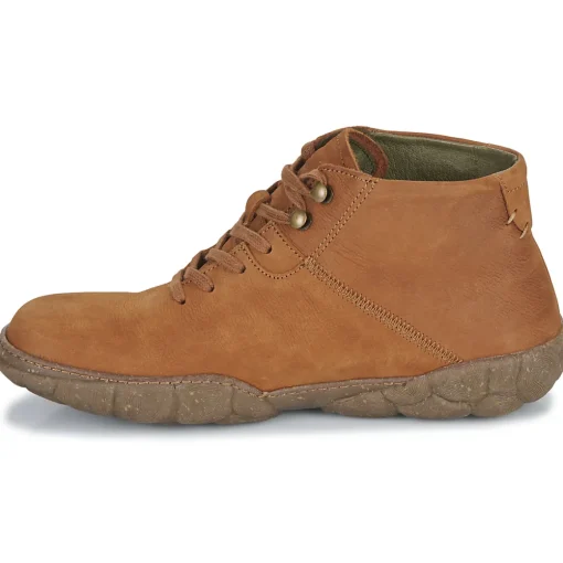 El Naturalista - TURTLE N5083
