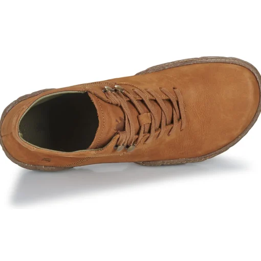 El Naturalista - TURTLE N5083