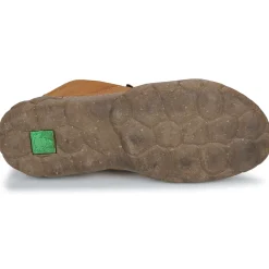 El Naturalista - TURTLE N5083