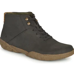 El Naturalista - TURTLE N5083