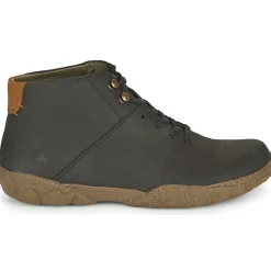 El Naturalista - TURTLE N5083