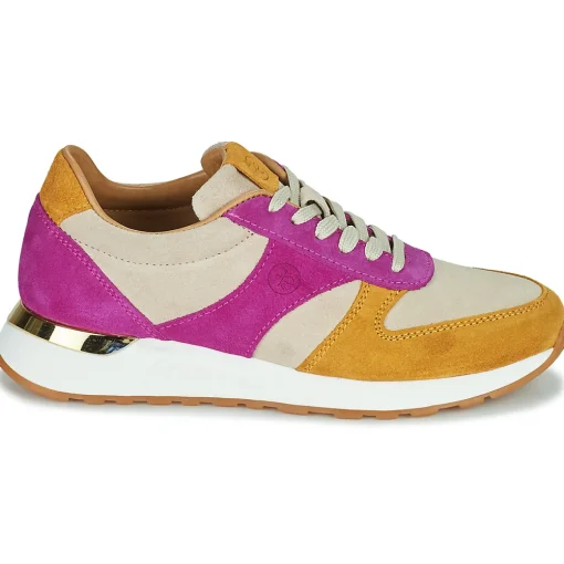 Fericelli - AGATE