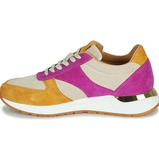 Fericelli - AGATE