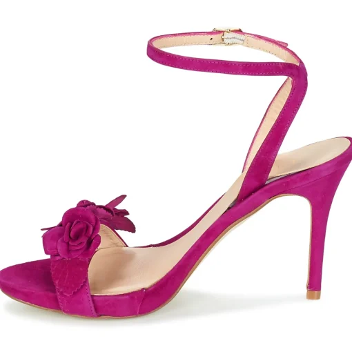Fericelli - GLAM